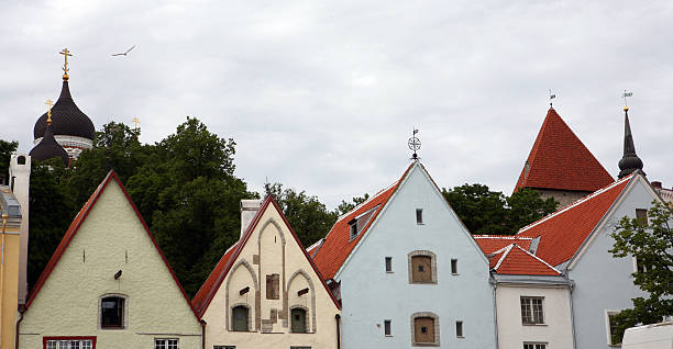 Panorama of roofs stock photo