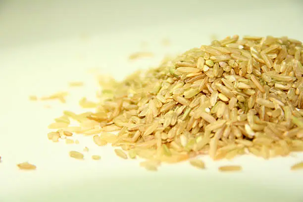 Organic brown rice grains