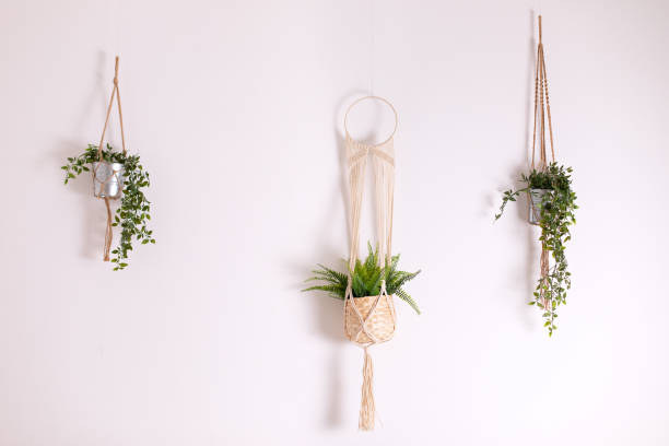 istock Three handmade cotton macrame plant hangers are hanging from a white wall. Pendants macrame have pots and plants inside them. Handmade macrame plant hanger, hanging green plants at home 1460791957