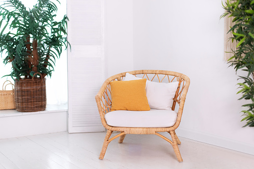 Design wicker chair in stylish light bedroom interior. Rattan armchair by the white wall in the living scandinavian room. Wabi sabi room interior. Eco natural furniture. Large green houseplant in pot