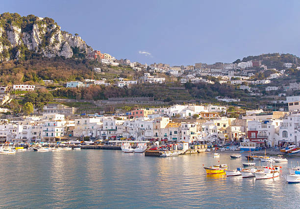 istock The bay of Capri 146079271