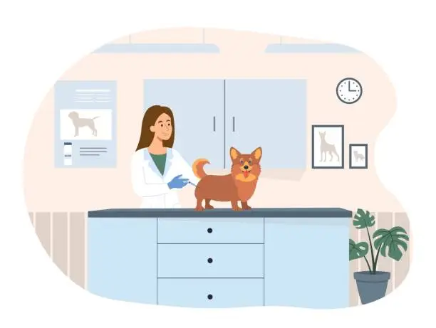 Vector illustration of Vaccination of animals