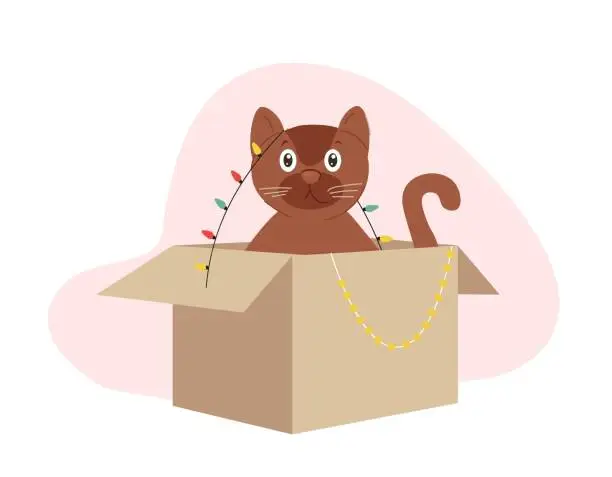 Vector illustration of Winter cat in box