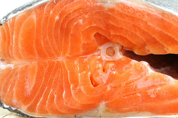 Salmon stock photo