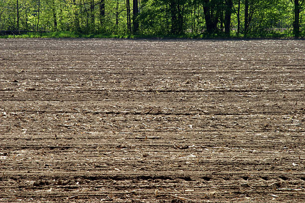 Newly Planted Field stock photo