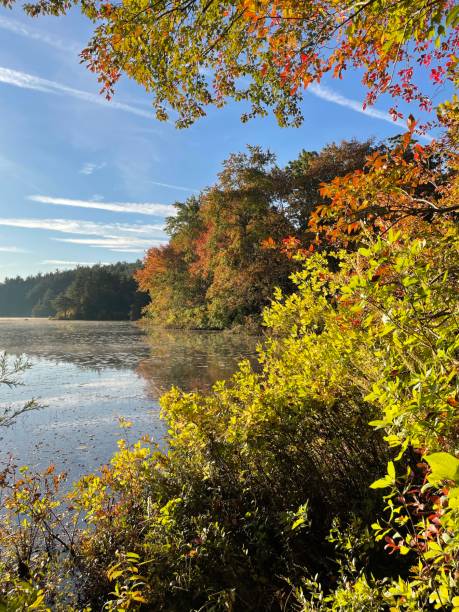 istock Fall foliage in autumn by a lake 1460800644