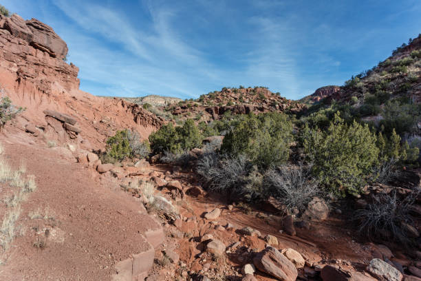 istock View down a canyon with lively brush on clear day 1460801505