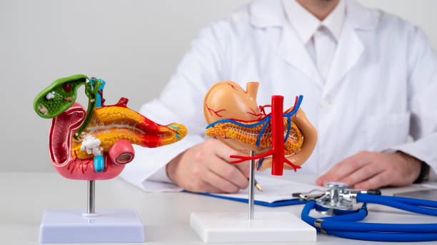 istock pancreas mockup on work desk of doctor 1460802122