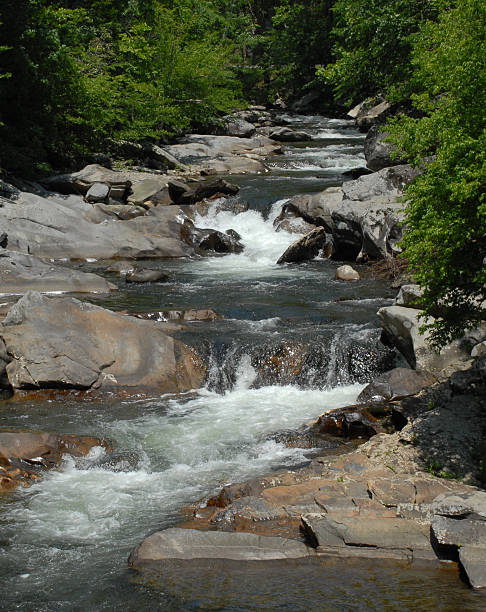 pequeno rio ondasname - great smoky mountains gatlinburg great smoky mountains national park appalachian mountains imagens e fotografias de stock