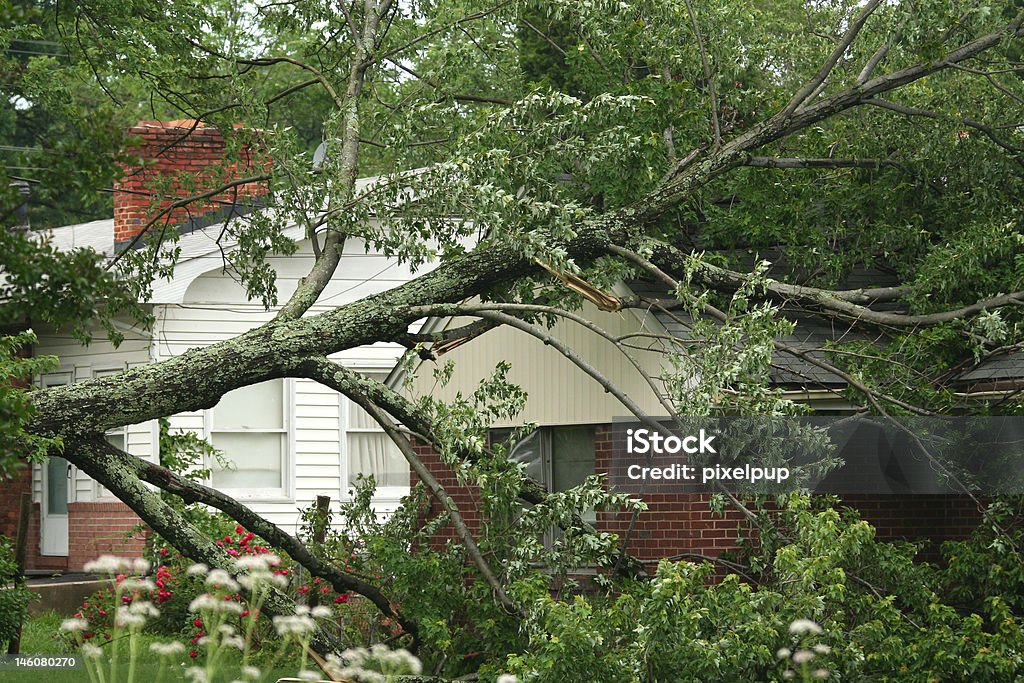 Storm Damage Residential home struck by severe storms. Tree Stock Photo