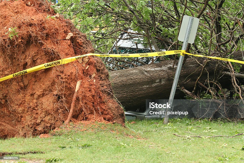 Tempête dommages - Photo de Arbre libre de droits