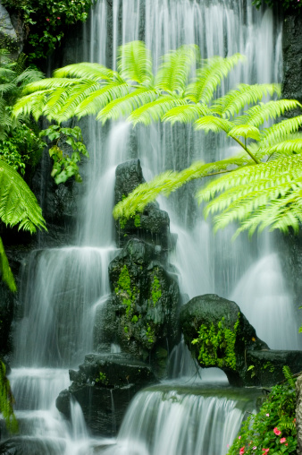 Japanese Garden Waterfalls