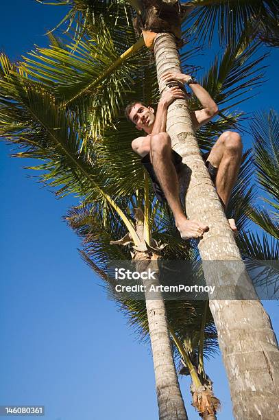 Young Male Climbing A Palm Tree Stock Photo - Download Image Now - Coconut Palm Tree, Moving Up, Reaching