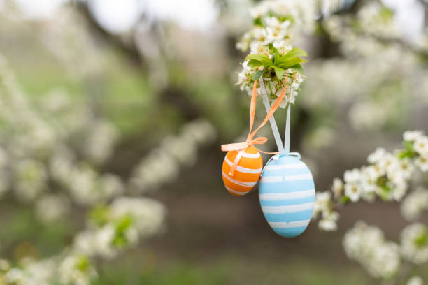 istock Beautiful Easter painted eggs in the branches of a blossoming apple tree 1460804220