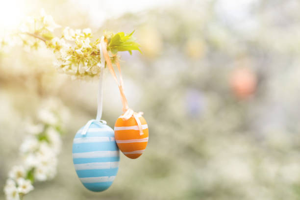 istock Beautiful Easter painted eggs in the branches of a blossoming apple tree 1460804282