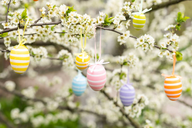 composizione decorativa pasquale con uova dipinte, rami fioriti. - birds nest animal nest branch spring foto e immagini stock