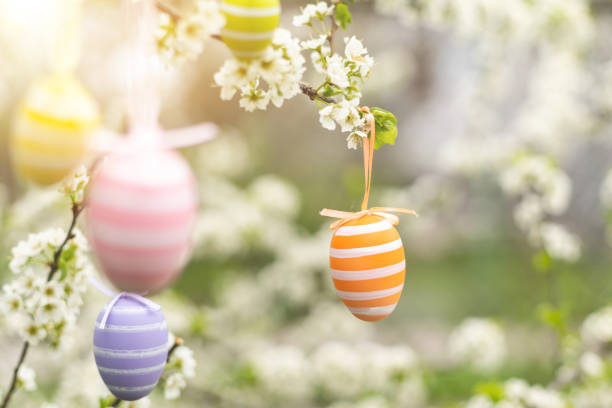 istock Beautiful Easter painted eggs in the branches of a blossoming apple tree 1460806128
