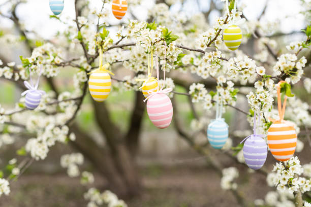 istock Beautiful Easter painted eggs in the branches of a blossoming apple tree 1460806191