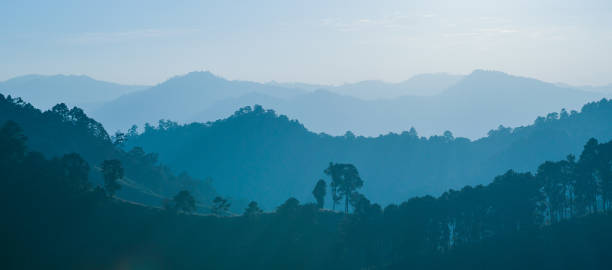 blick auf berg- und waldabend im winter - australian culture scenics australia panoramic stock-fotos und bilder