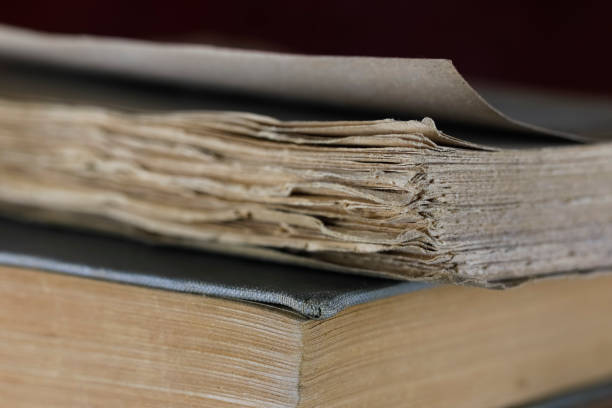 istock Two old books, one on top of the other 1460812074