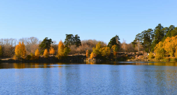 istock Autumn trees on the shore of a forest lake 1460812866