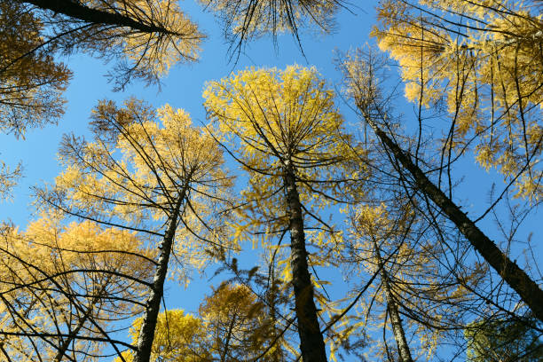 Autumn is the perfect time for photography