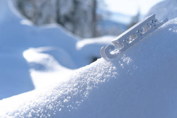 istock Cute sled in the snow. 1460814339