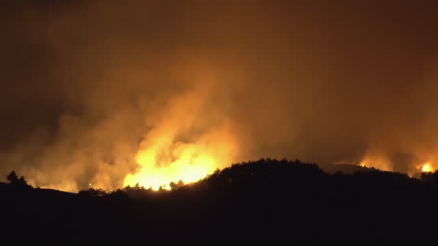 Forest fire burning trees in mountain at night, visible heat air distortion
