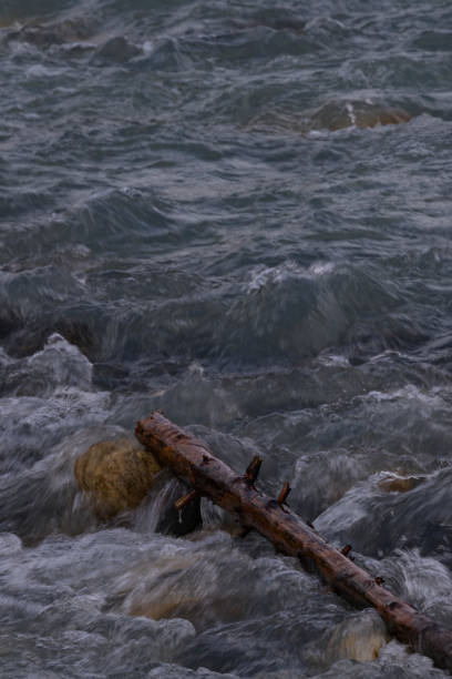 Symbolic fallen, cut tree trunk in rushing water currents stock photo