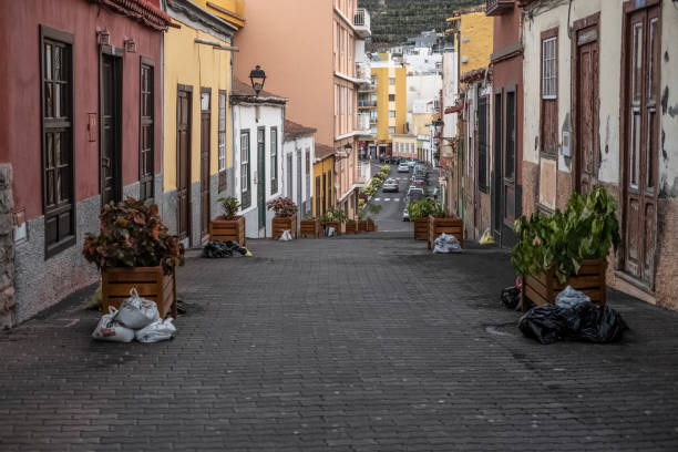 istock Cumbre Vieja volcano 1460818100