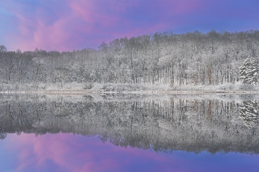 Winter landscape at dawn of the snow flocked shoreline of Deep Lake with mirrored reflections in calm water, Yankee Springs State Park, Michigan, USA