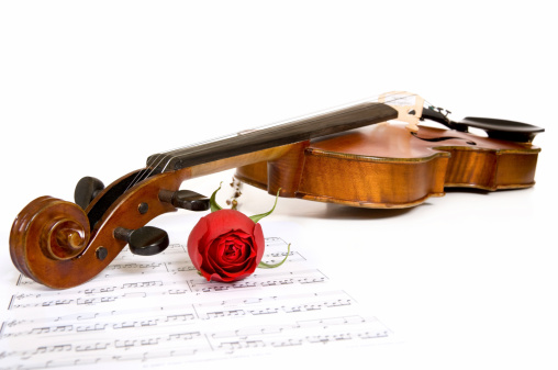 A violin a rose and sheet music on a white background, focus is on the peg head of the violin and the rose