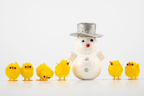 Easter Humor. Easter chicks with snowman - snow at easter party