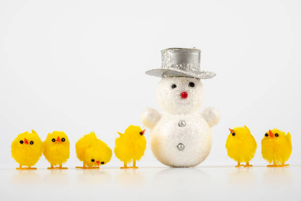 Easter Humor. Easter chicks with snowman - snow at easter party stock photo