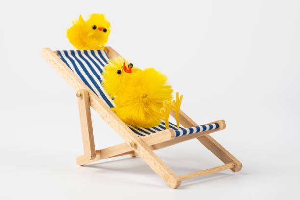 Easter Humor. Easter chicks relaxing in beach chair
