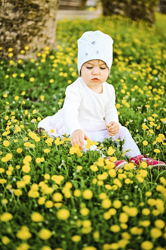 Outdoor portrait of a cute toddler girl sitting on the grass.