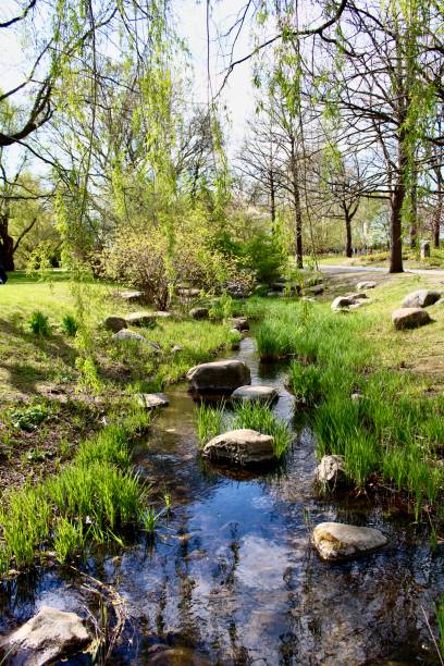 istock Little creek in park 1460828761