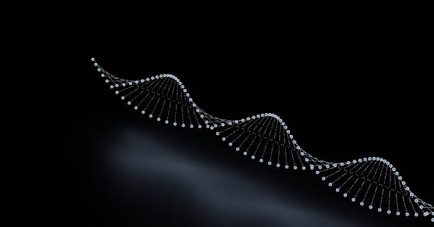 3d illustration. Rendered DNA molecules double helix models with black background. stock photo