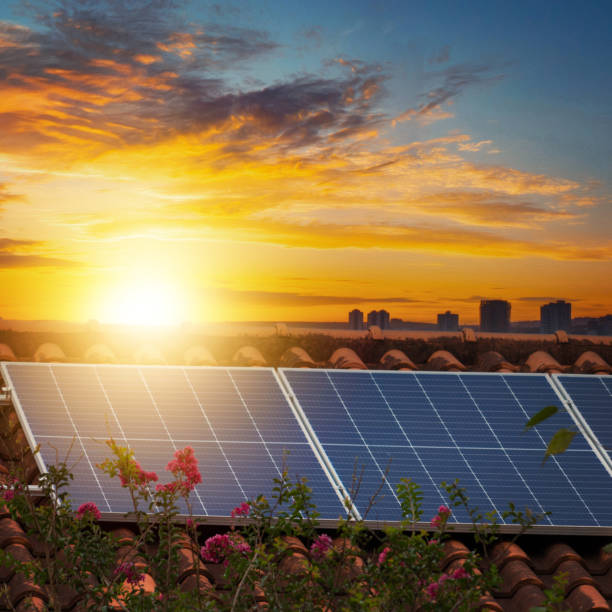Photovoltaic Instalation Plant in a House With Leafs and Flowers Around at Sunset. stock photo