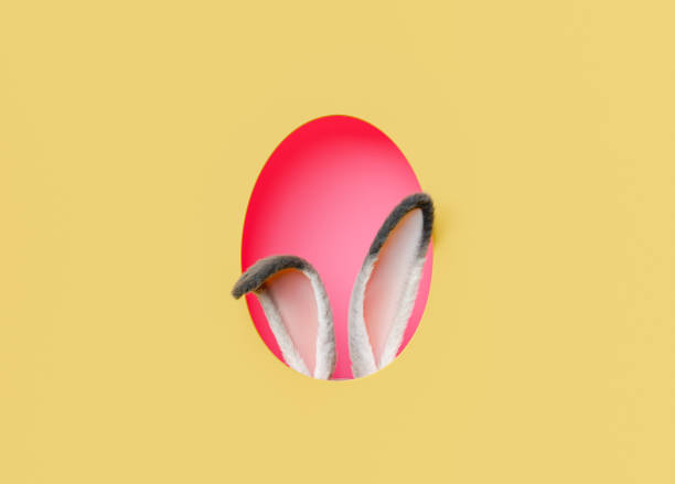 3D rendering of fluffy bunny ears in red egg shaped hole against bright yellow background during Easter holiday