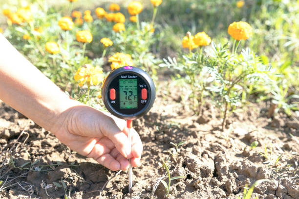 Soil testing in flower plant garden with digital analyzer or tester Measuring temperature, moisture content of the soil, environmental humidity and illumination in flower plant garden soil tester stock pictures, royalty-free photos & images