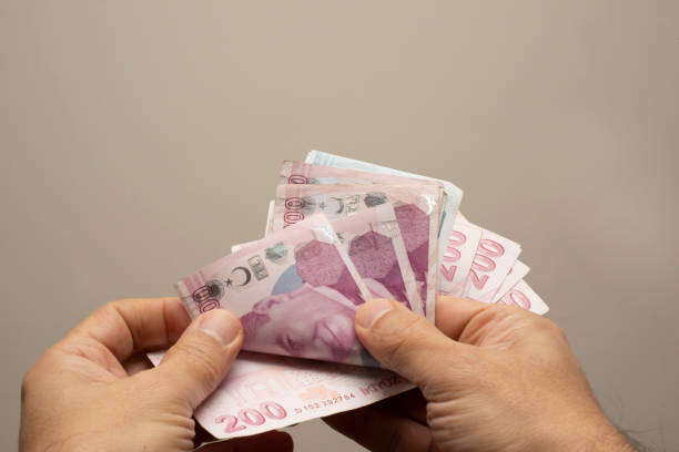 istock Unrecognizable person counting Turkish banknotes 1460834006