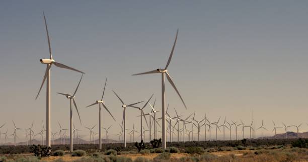 istock Back lit turbines at Tehachapi wind farm in Mojave Desert 1460835416