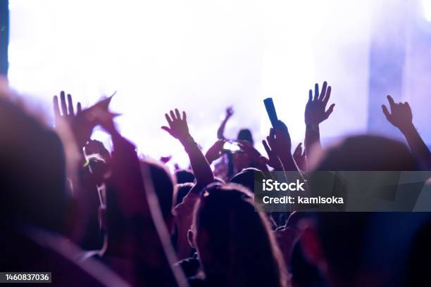 Crowd On The Concert Stock Photo - Download Image Now - Applauding, Adult, Adults Only