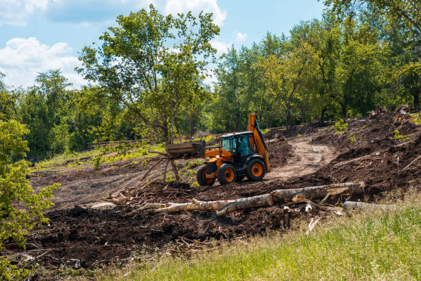 yellow tractor is working on cleaning the territory, preparing the park. construction of a long path in the park and landscaping