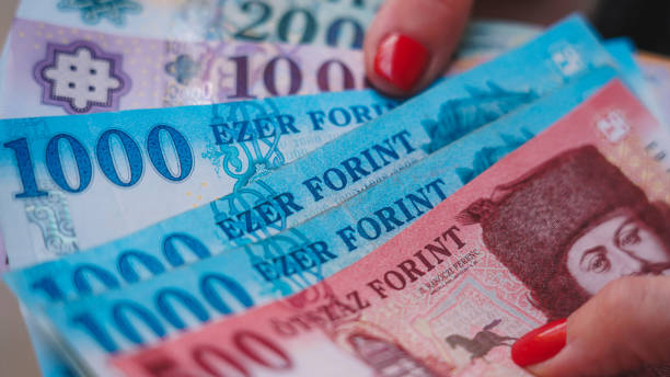 Hungarian Forint Holding In Hand Hungarian Forint Holding In Hand hungarian culture stock pictures, royalty-free photos & images