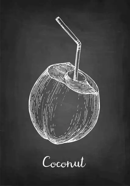 Vector illustration of Chalk sketch of coconut with drinking straw.