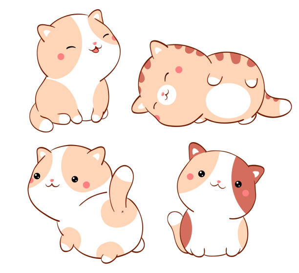 Set of cute fat cats kawaii style. Collection of lovely little kitty in different poses. Can be used for t-shirt print, stickers, greeting card design - ilustração de arte vetorial