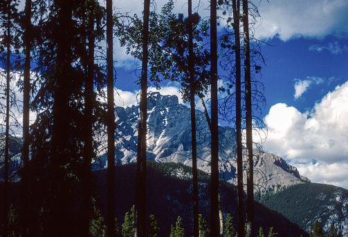 Banff National Park - Cascade Mountain Through Trees - 1989. Scanned from Kodachrome 25 slide.