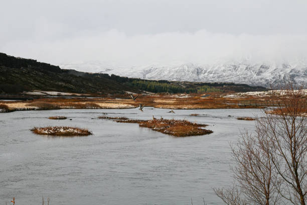 Golden Area National Park Scenery: A breathtaking landscape of natural beauty, the Golden Area National Park offers visitors a glimpse into Iceland's unique and rugged terrain.